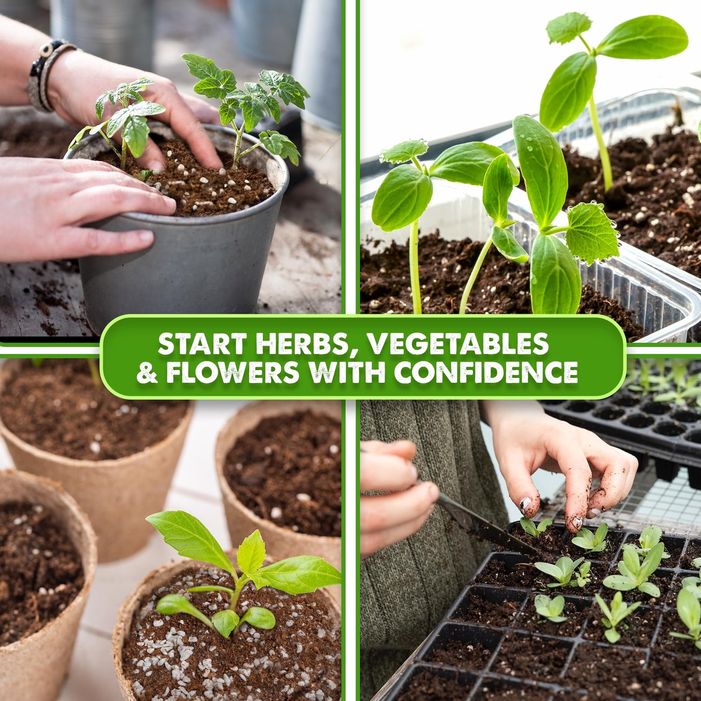 Seed Starter Potting Soil Mix, 8 Dry Quarts, Ready-to-Use Peat-Free Coco Coir Seed Starting Mix 4-in-1 Blend with Perlite, Vermiculite & Worm Castings for Germination & Seedlings