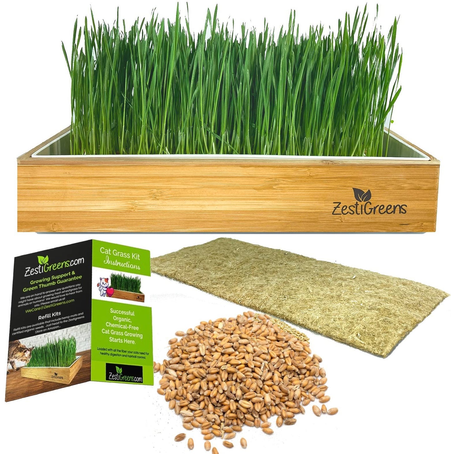 Self-Watering Cat Grass Kit – Grow Fresh, Living Cat Grass at Home in 5–7 Days | No Soil, No Mess | Organic Wheatgrass Seeds | Large Reusable Indoor Tray