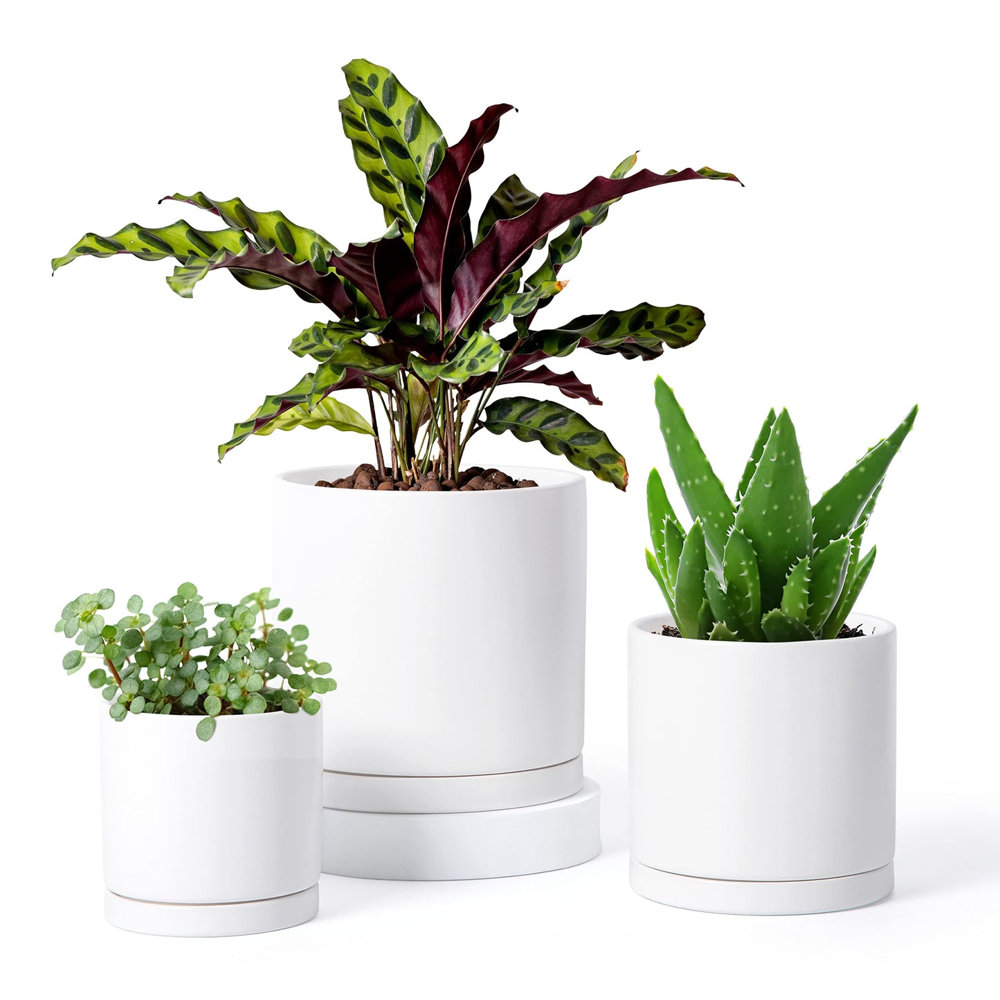 D'vine Dev White Terracotta Pots for Plants, 4.2 Inch 5.3 Inch 6.5 Inch, Succulent Planter Pot with Drainage and Saucer, 40-T-A-1
