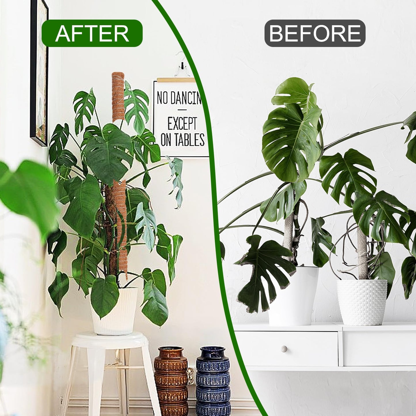 3 Pack 50 Inch Bendable Moss Pole Monstera Plant Support for Climbing Plants Indoor DIY Tall Moss Ploles Made of Coco Coir Sticks Support Stakes for Pothos Philodendron Potted Plants to Grow Upwards