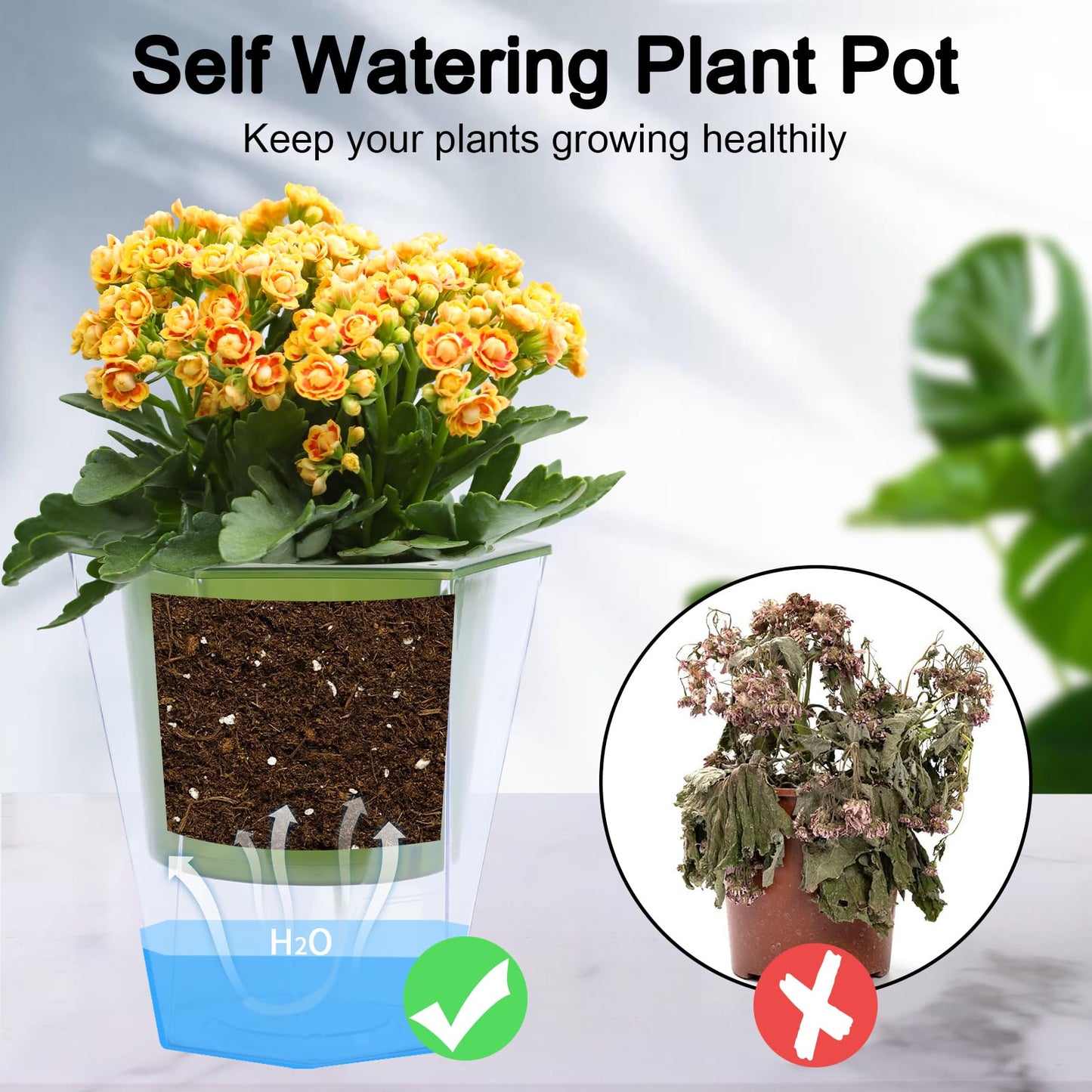 Oliz Self Watering Planter 5 Pcs, 4.5 Inch Flower Plant Pot with Transparent Inner Pot, Gardening Flowerpot with Watering Can, Indoor Self Watering Planter Pot for Herbs, Flowers (Green)