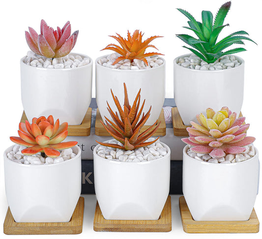 ARTKETTY Succulent Pots - 3 Inch Small Succulent Planter Pot with Drainage Trays Set of 6, Ceramic Planters for Indoor Plants Cactus Flower Plant for Home Office