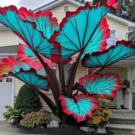 EDRHTJG Giant Leaf Foliage-Elephant Ear-Alocasia for Outdoor Garden Patio Decor Natural Vibrant Tones-Heat and Humidity Tolerant (6)
