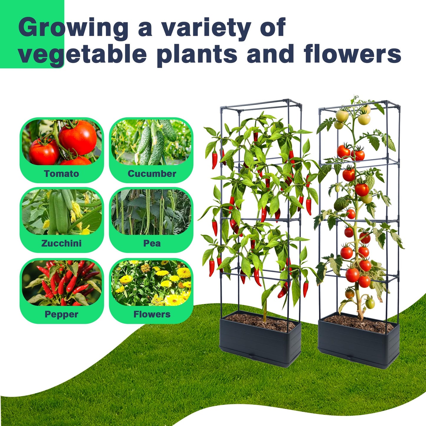 Sumloty 2Pack Raised Garden Bed Planter Boxe with Trellis, 55.2" Self Watering Tomato Planter Box with Trellis for Climbing Vegetable Flowers and Plants, Tomato Cage for Indoor Outdoor Use