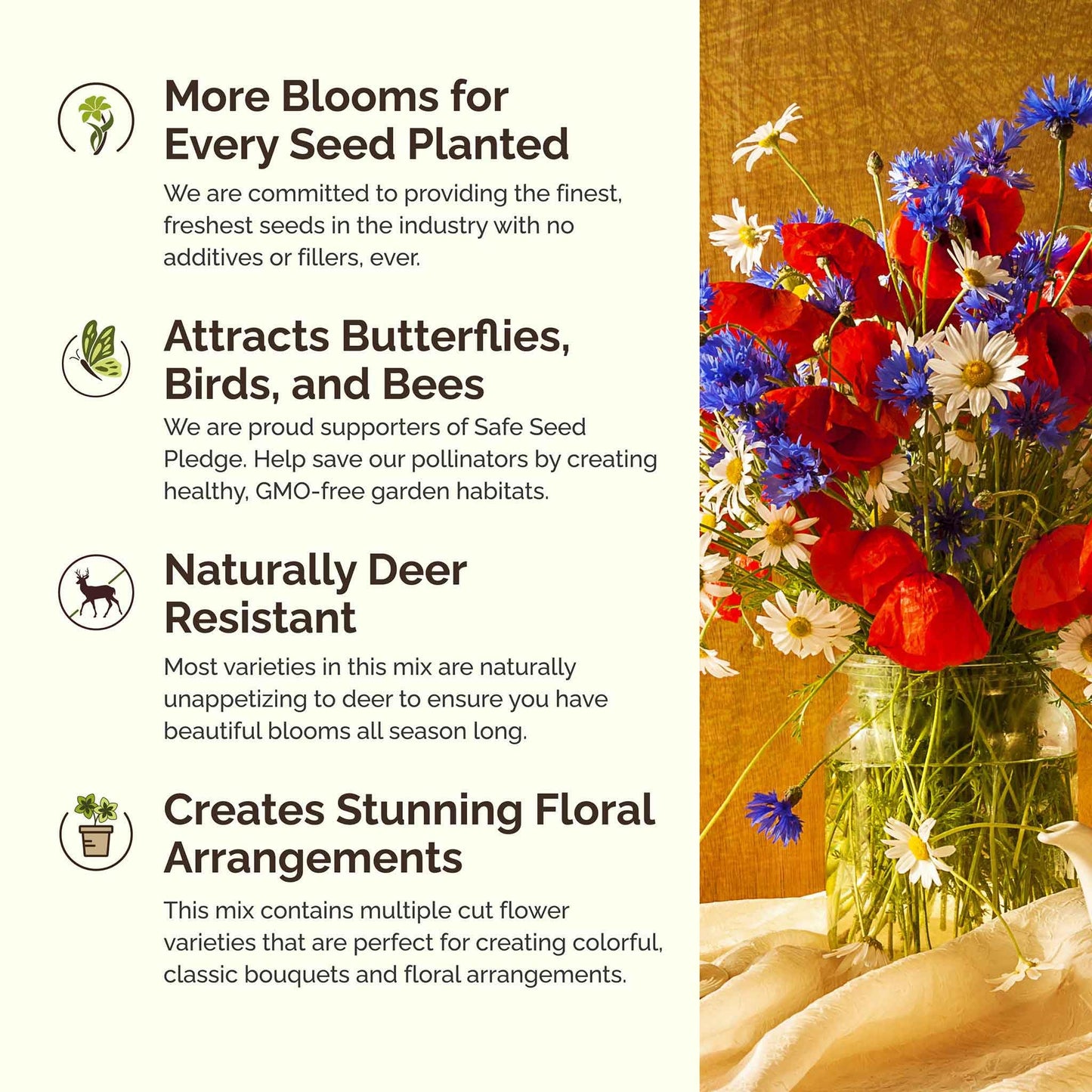Eden Brothers Northeast Wildflower Mixed Seeds for Planting, 1 lb, 480,000+ Seeds with Cosmos, Candytuft, Shasta Daisy | Attracts Pollinators, Plant in Spring or Fall, Zones 3, 4, 5, 6, 7, 8, 9, 10