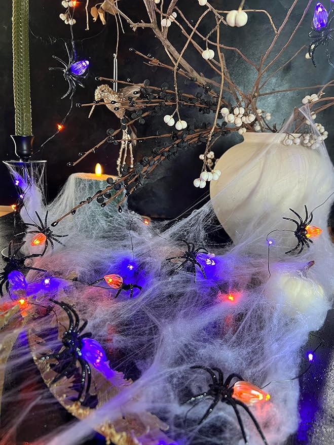 Nature Rattan Pumpkin String Lights Fall Garland with Lights Battery Operated with Remote - Perfect Thanksgiving Halloween Fall Decorations (Spider Fairy)