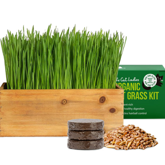 The Cat Ladies Cat Grass Kit with Rustic Wood Planter, Seed and Soil. Easy to Grow for Indoor or Outdoor Cats, Dogs and Other Pets. Prevent Hairballs and Aid Digestion