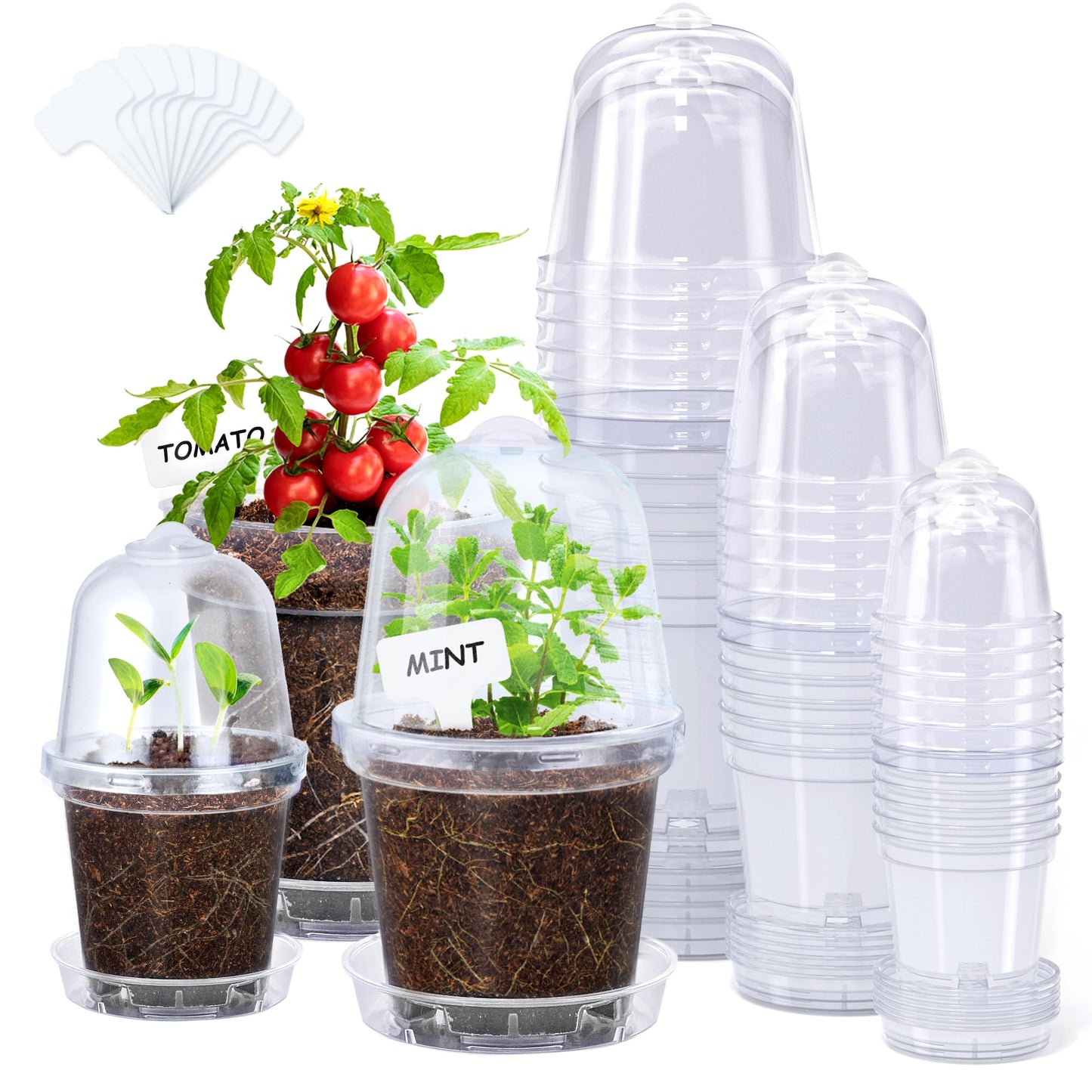 homenote 3/4/5 Inch Clear Nursery Pots 18 Pack with Humidity Domes&Plant Saucers–Rigid Plastic Nursery Pots with Drainage,Transparent Flower Pots for Seedlings,360° Rotary Vent,Indoor Outdoor Garden