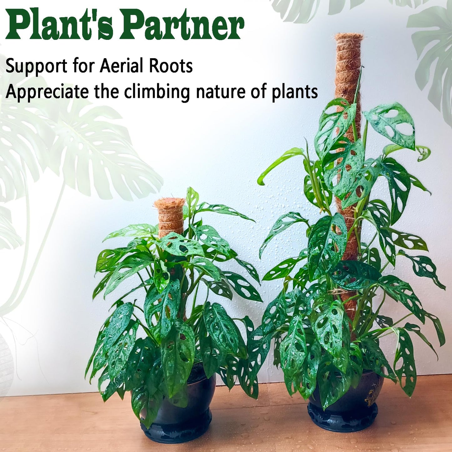 Moss Pole Set, Stackable Moss Poles for Climbing Plants Monstera, Tall Plant Sticks Accessories, Large Coir Plant Support Stakes for Potted Plants Indoor, Pothos, Philodendron