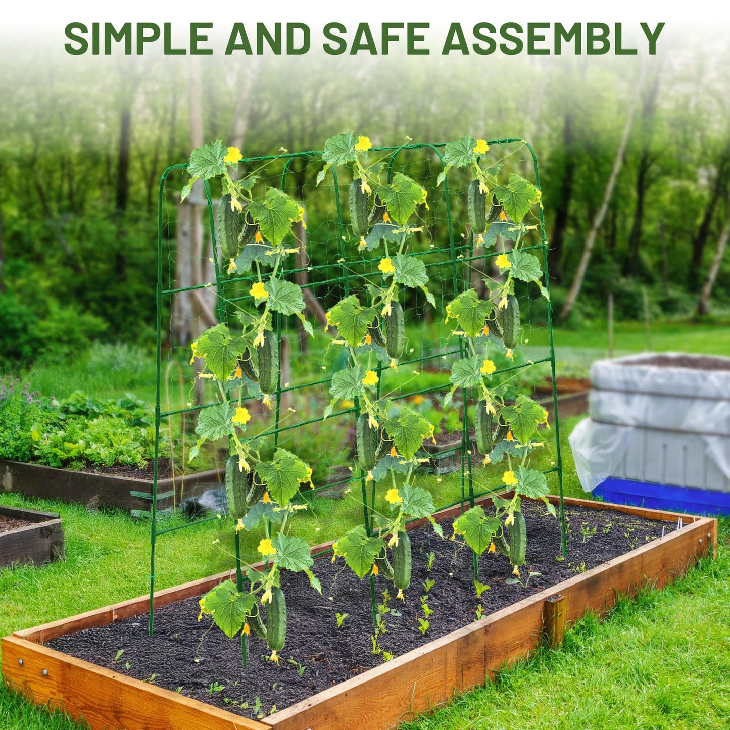PHENEAHILL Compact U-Shaped Plant Trellis for Peas, Beans & Light Climbing Plants - Rust-Resistant, Foldable Design, Lightweight Steel, Ideal for Raised Beds & Patio Gardens(31" W x 47" H)