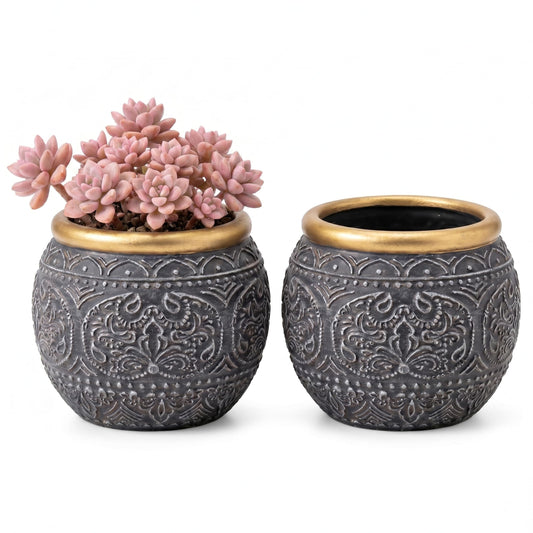 Ten-stone 2Pcs 5.9 Inch Cement Planters, Vintage Planter with Gold Rim and Drainage Holes, Decorative Indoor Containers for Succulents, Herbs, Home & Office