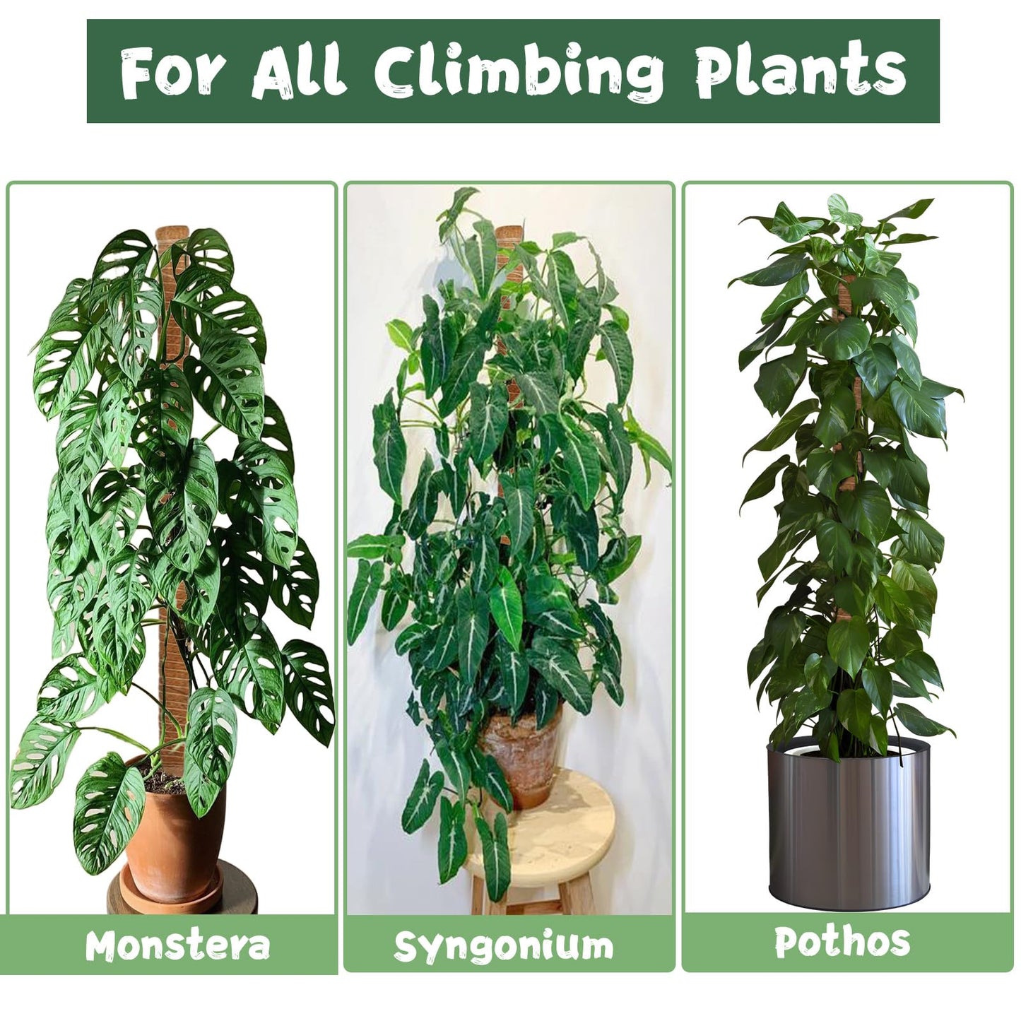2 Pack 47.24 Inch Bendable Moss Pole for Monstera - 120cm Plant Support Moss Sticks Stakes for Climbing Indoor Plants, Pothos & Philodendron - Coir/Coco Plant Trellis for Potted Climbers & Houseplants