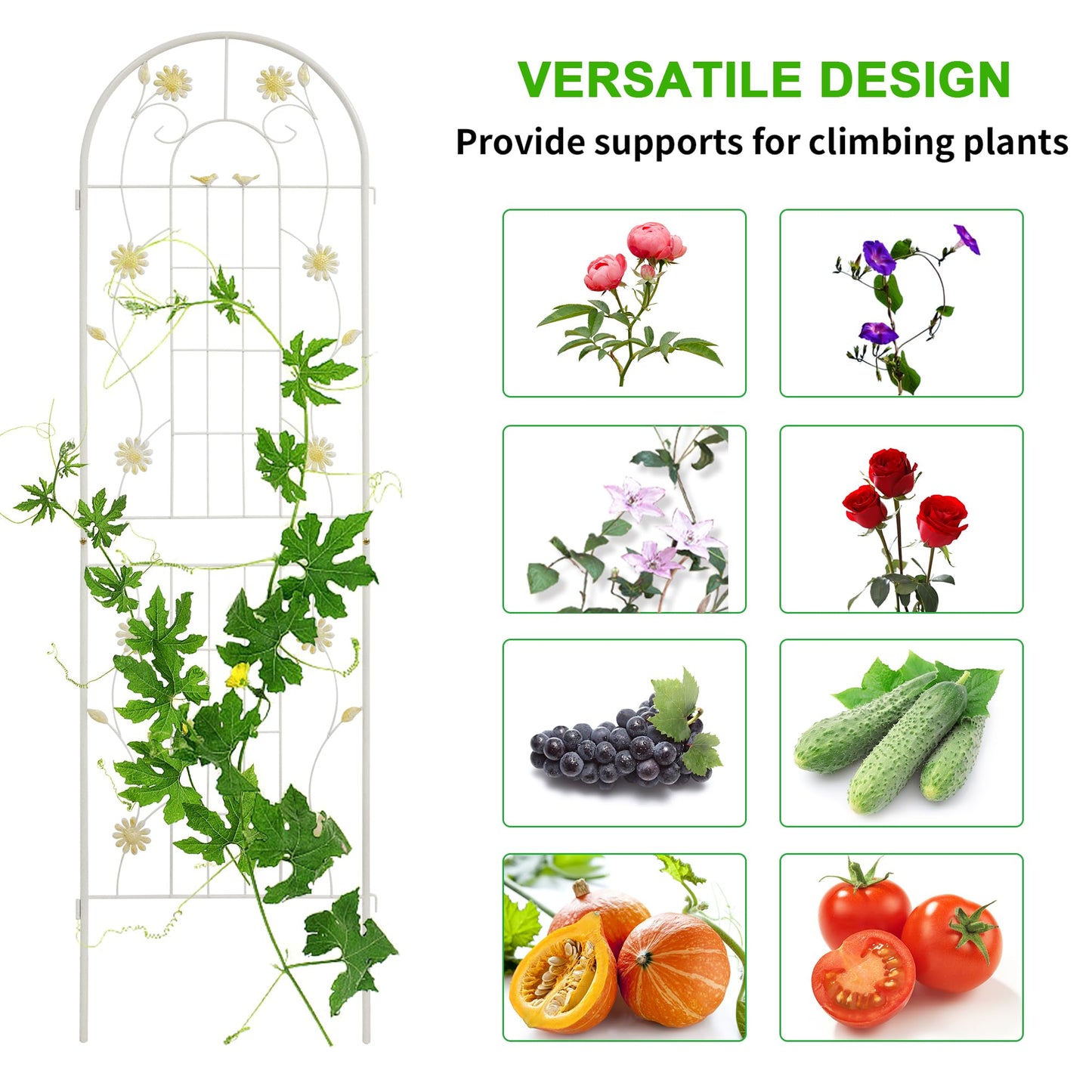 LZRS 4 Pack 71x20in Rustic Iron Arch Decoration Garden Trellis with Black Metal Coating – Perfect for Supporting Climbing Plants Outdoor, Roses, Vines, Flowers, and Vegetables.