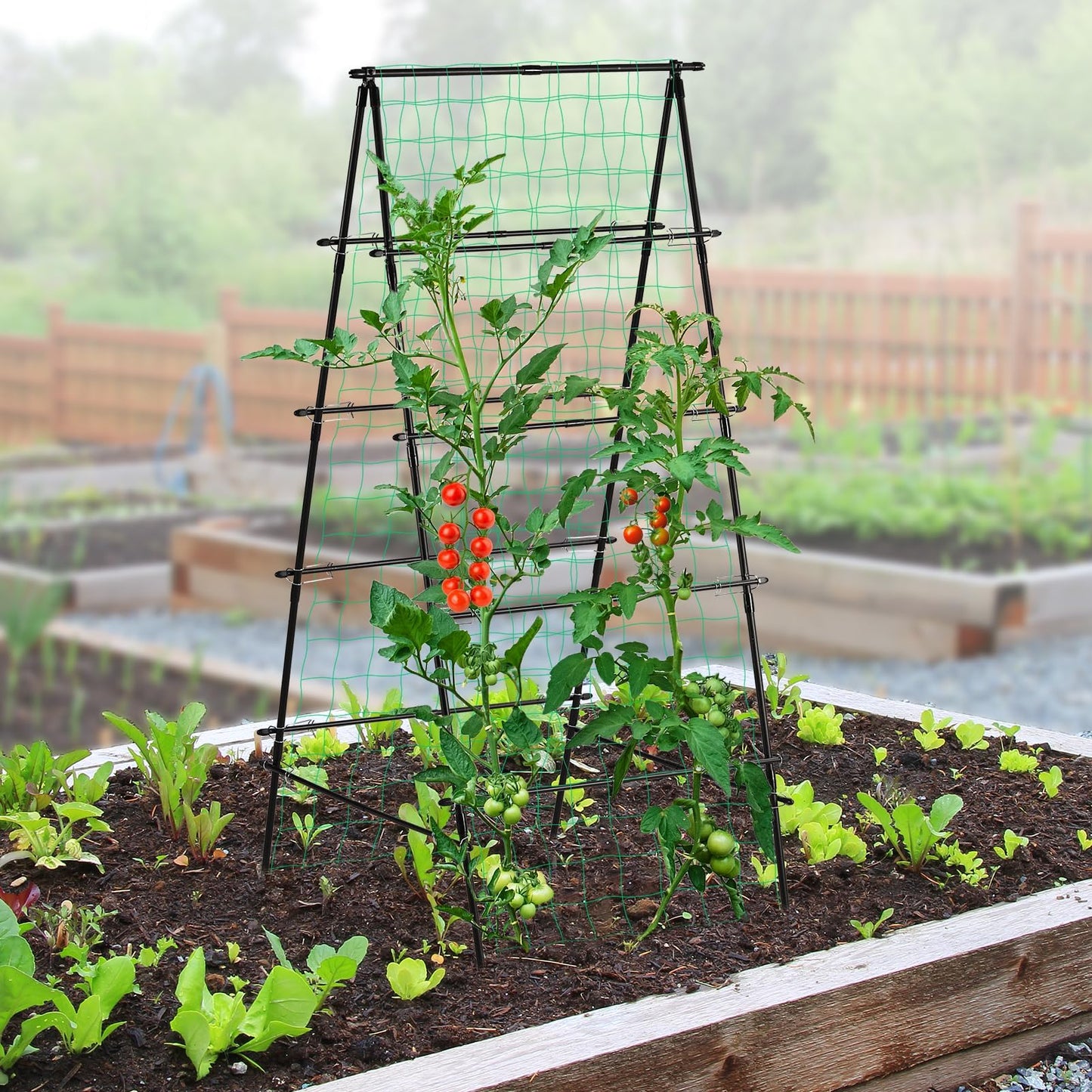 Yotoworth Garden Trellis for Climbing Plants, 71" H x 32" W Metal A-Frame Cucumber Trellis Outdoor Fruits Watermelon Plants Vegetable Tomato Squash Peas Beans, with Netting, Black