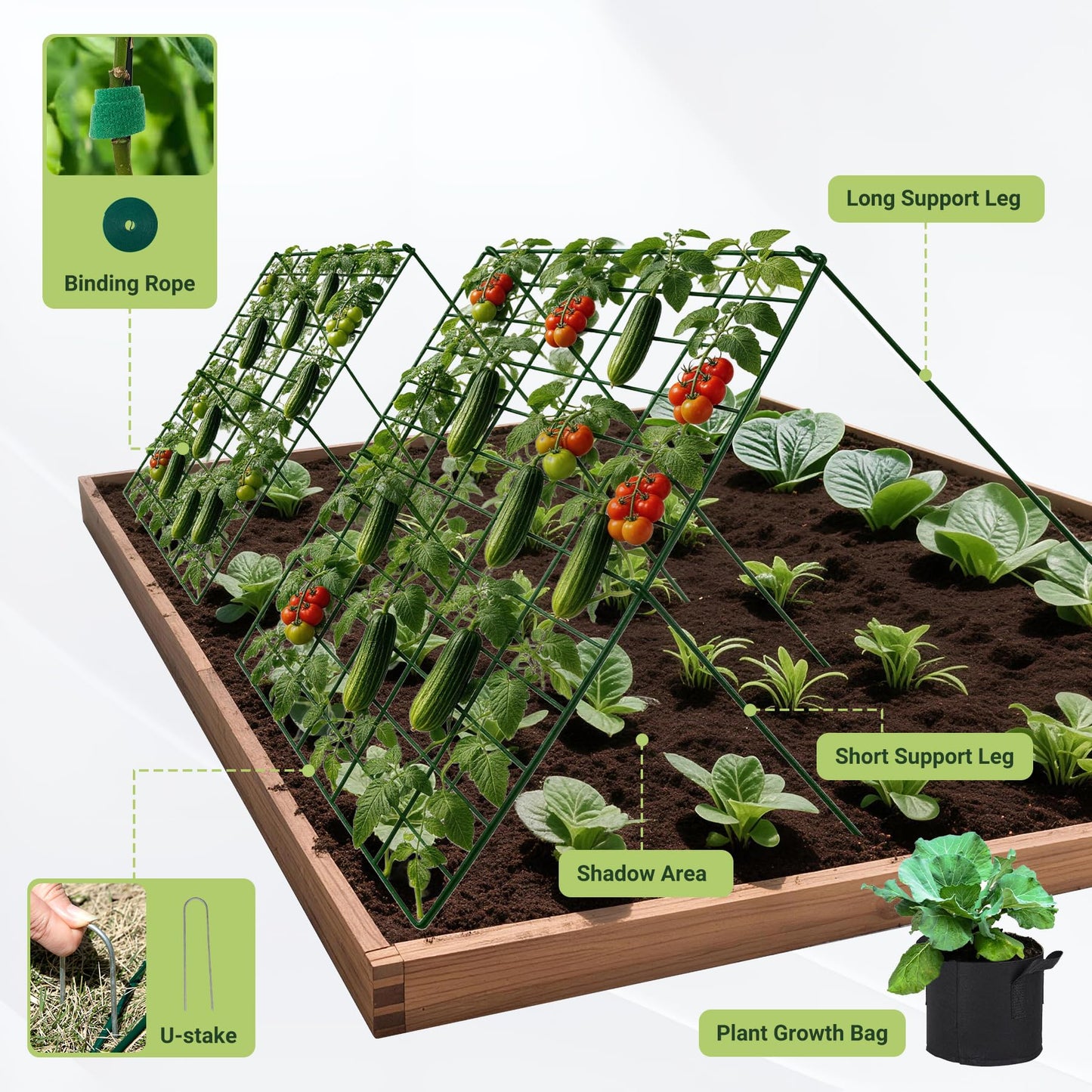 Toriexon Cucumber Trellis for Garden - 2 Pack, 48" L x 24" W Garden Trellis for Climbing Plants Outdoor with Support Structures, A Frame Trellis for Climbing Vegetables Peas, Vine, Bean