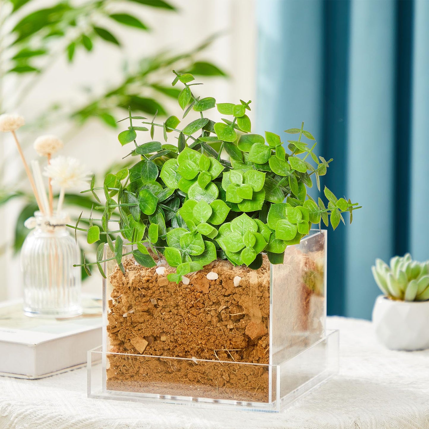 Sunnychicc Clear Plant Nursery Pots Acrylic Orchid Pots with Drainage Holes and Tray Transparent Planter for Indoor Plants, Succulents, Herb, Flowers and Cactus Decorative(6 Inches,Square)