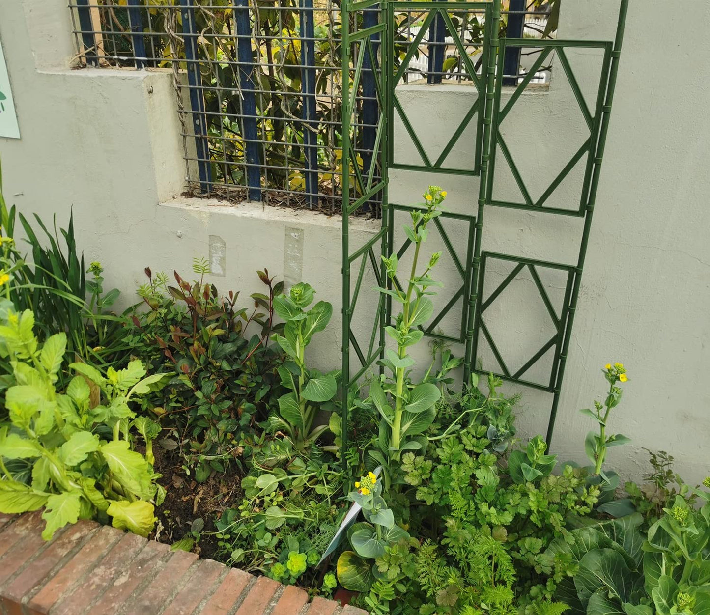 Green Garden Trellis, Metal Vines Plant Support, Decorative Lattice Flower Stand, for Climbing Plants, Flowers, Fruits, Retro Style (Size : 60x150cm/23.5x59in)