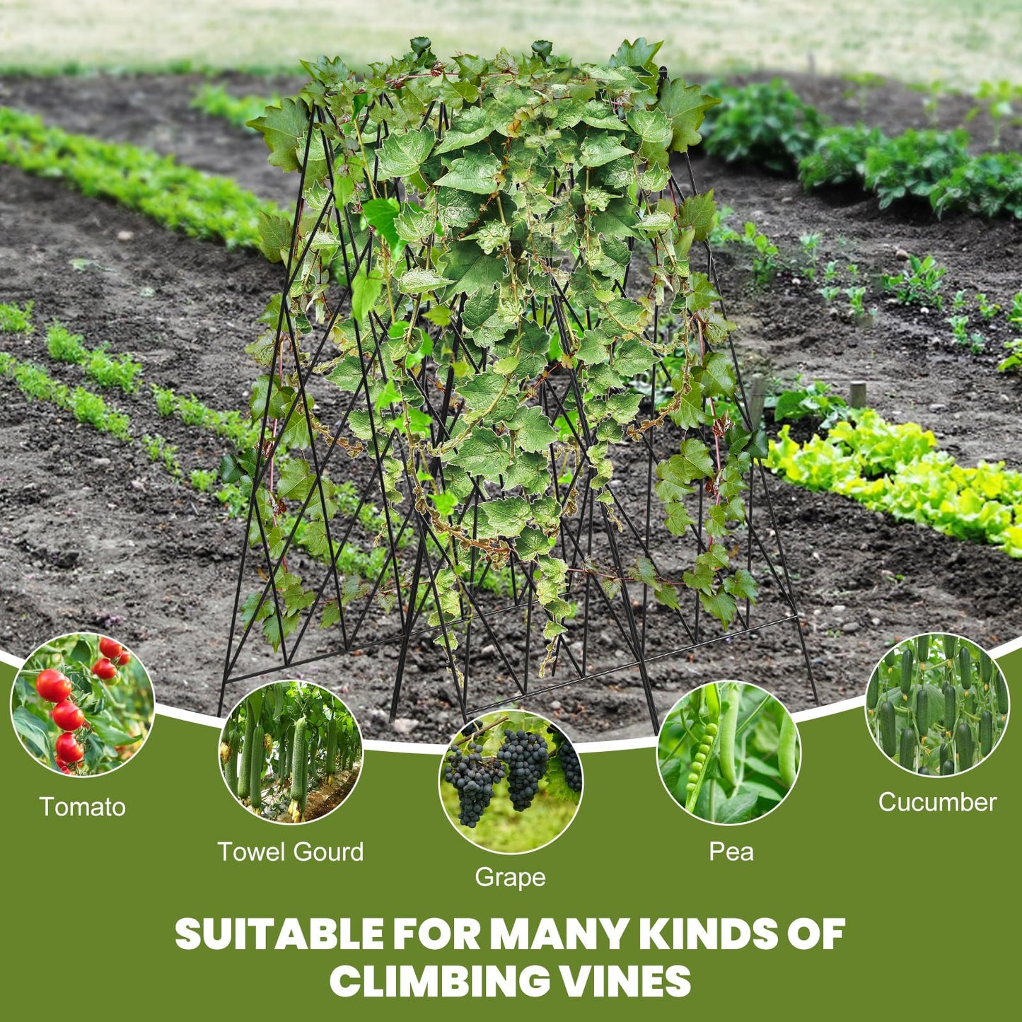 UrGROWA Cucumber Trellis 2 Pack, Foldable A-Frame Garden Trellis for Raised Bed Garden Grow Support with Plant Support Clips, Twist Ties, Plastic Ties, for Cucumber,Tomato, Climbing Plants and Flowers