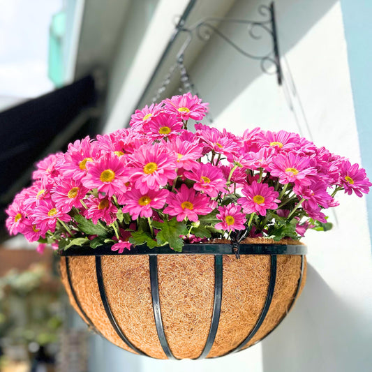 LaLaGreen Outdoor Hanging Baskets for Plants (20 Inch, 2 Pack) Extra Large Black Metal Flat Iron Hanging Planters with Coco Liner Round Flower Pot Holder Hanger Deck Porch Modern Garden Balcony Decor