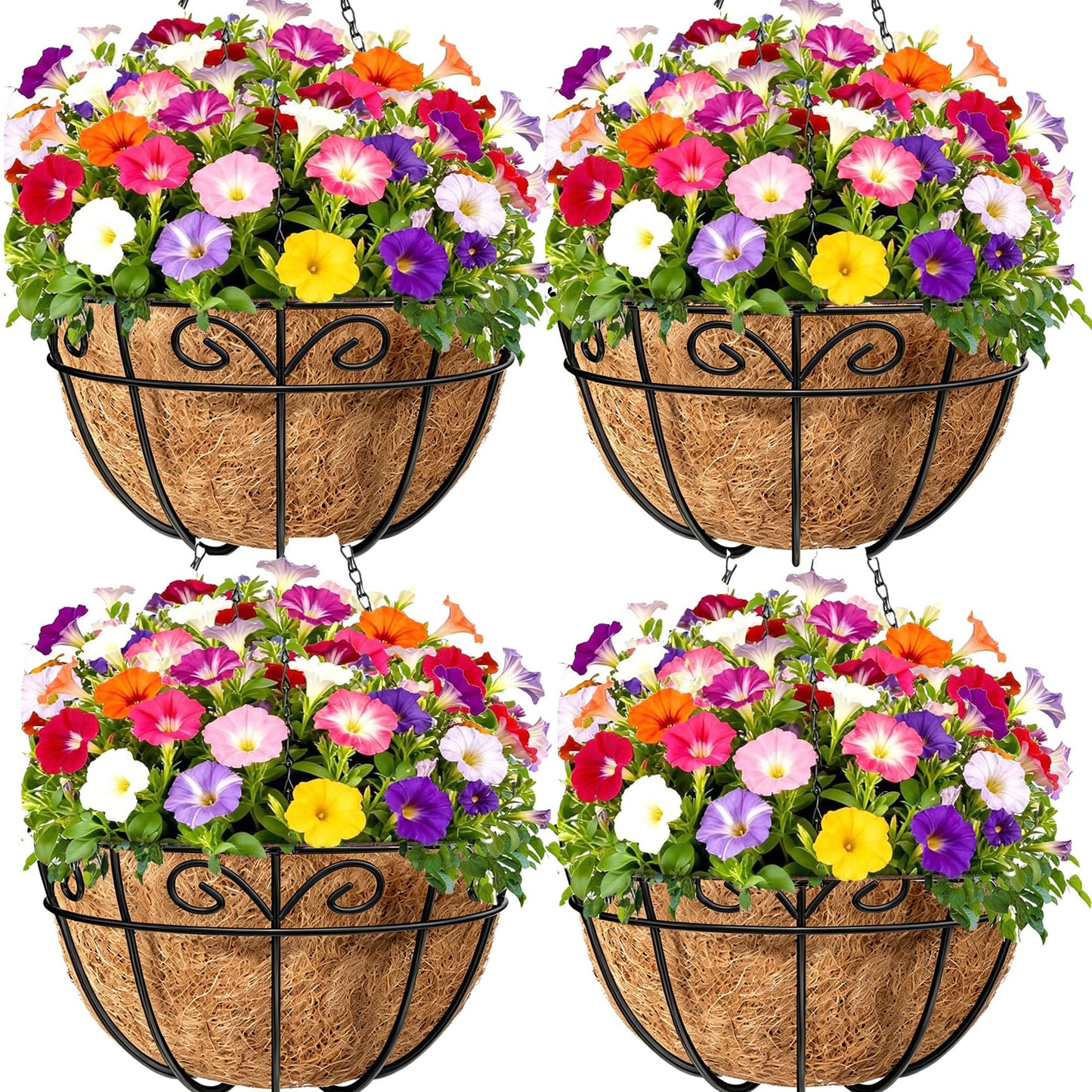 Amagabeli 4 Pack 14 Inch Metal Hanging Baskets Planter Outdoor Round Wire Hanging Basket for Plants with Coco Fiber Liners Chain Plant Holder for Garden Patio Deck Porch Plants Vegetables Flower Pots