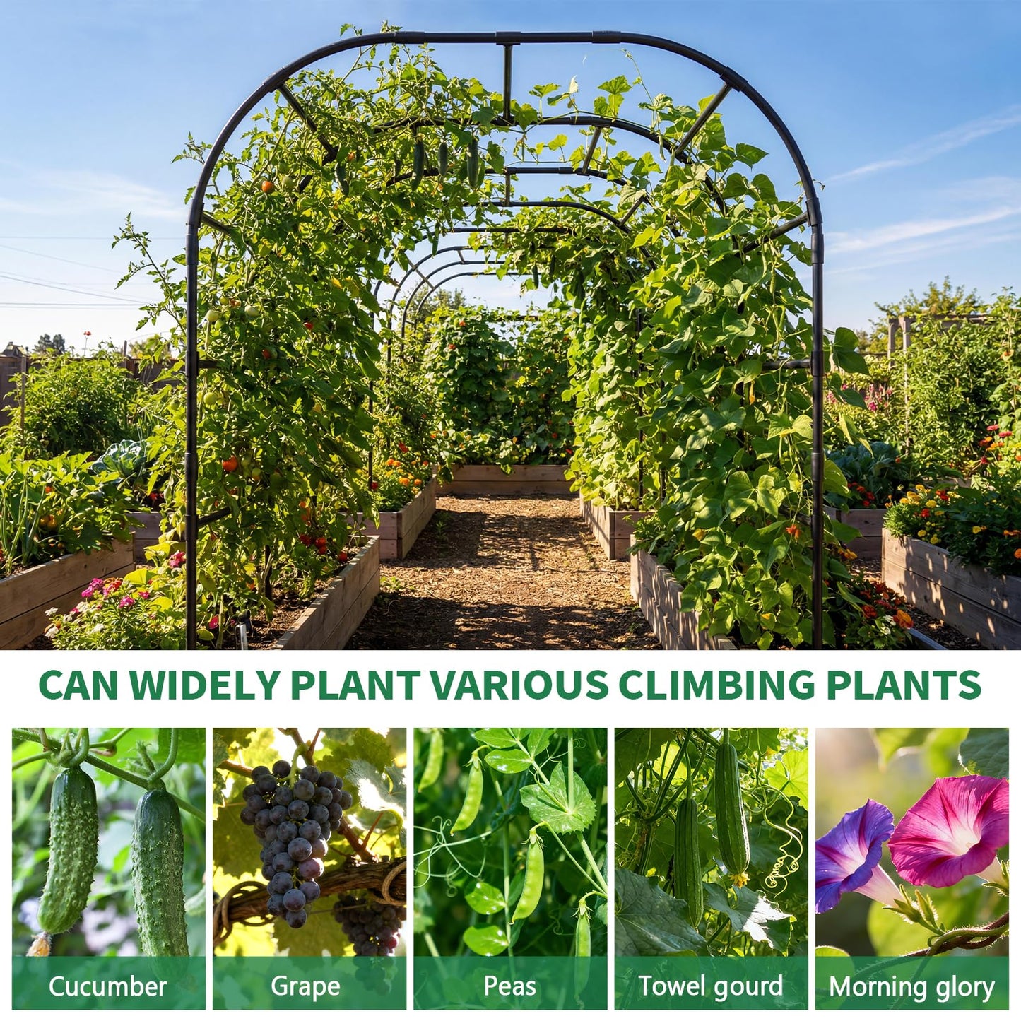 SUNYRISY Garden Arch Trellis for Climbing Plants Outdoor, 88" x 88" x 88" Metal Core Tall Archway Tunnel Plant Support for Cucumber Tomato Flowers Vegetables and Garden Gazebo