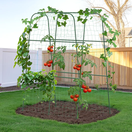 HIRALIY Cucumber Trellis for Climbing Plants Outdoor, 5.25ft Tall Heavy Duty Metal Garden Arch Trellis, Rustproof Plant Support Tunnel for Tomato, Grape, Bean, Raised Bed and Vegetable Gardens, Green