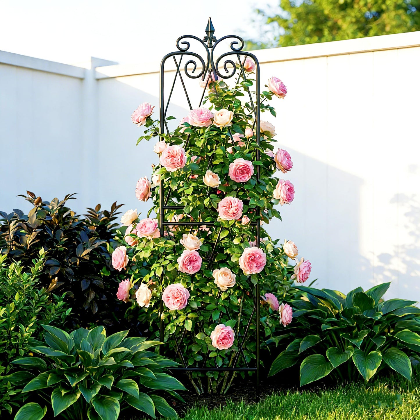 SCENDOR 2 Pack 71" H x15 W Trellis,Black Garden Trellis for Climbing Plants Outdoor Metal Frame Sturdy Trellis for Rose