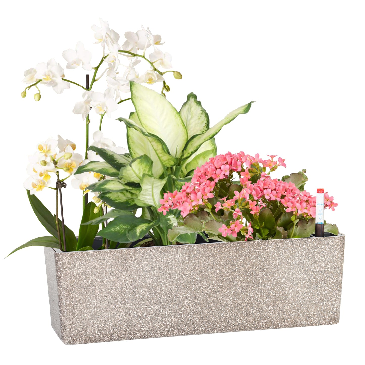 GardenBasix Elongated Self Watering Planter Pots Window Box 5.5 x 16 inch Indoor Home Garden Modern Decorative Planter Pot for All House Plants Flowers Herbs (Coffee,1-Pack)