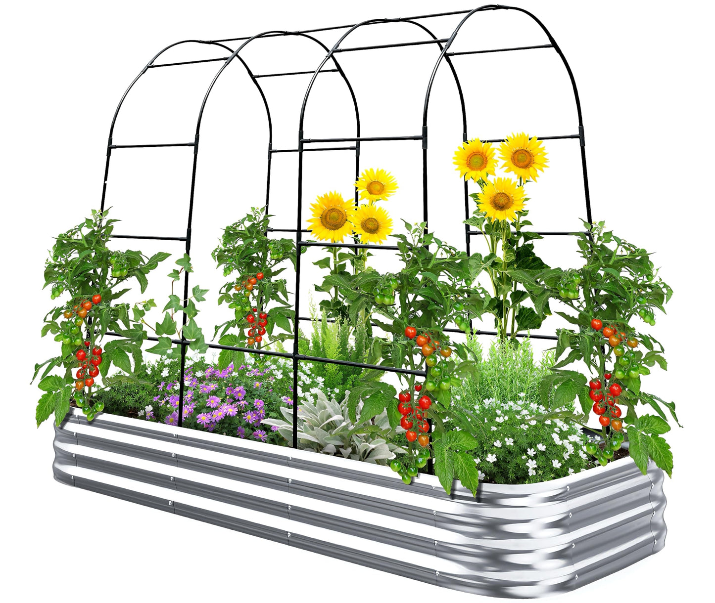 KING BIRD Raised Garden Bed with Arched Trellis Galvanized Planter Garden Box Outdoor for Gardening, Climbing Vegetables, Flowers 7.87x3.94x0.98 Ft, Silver