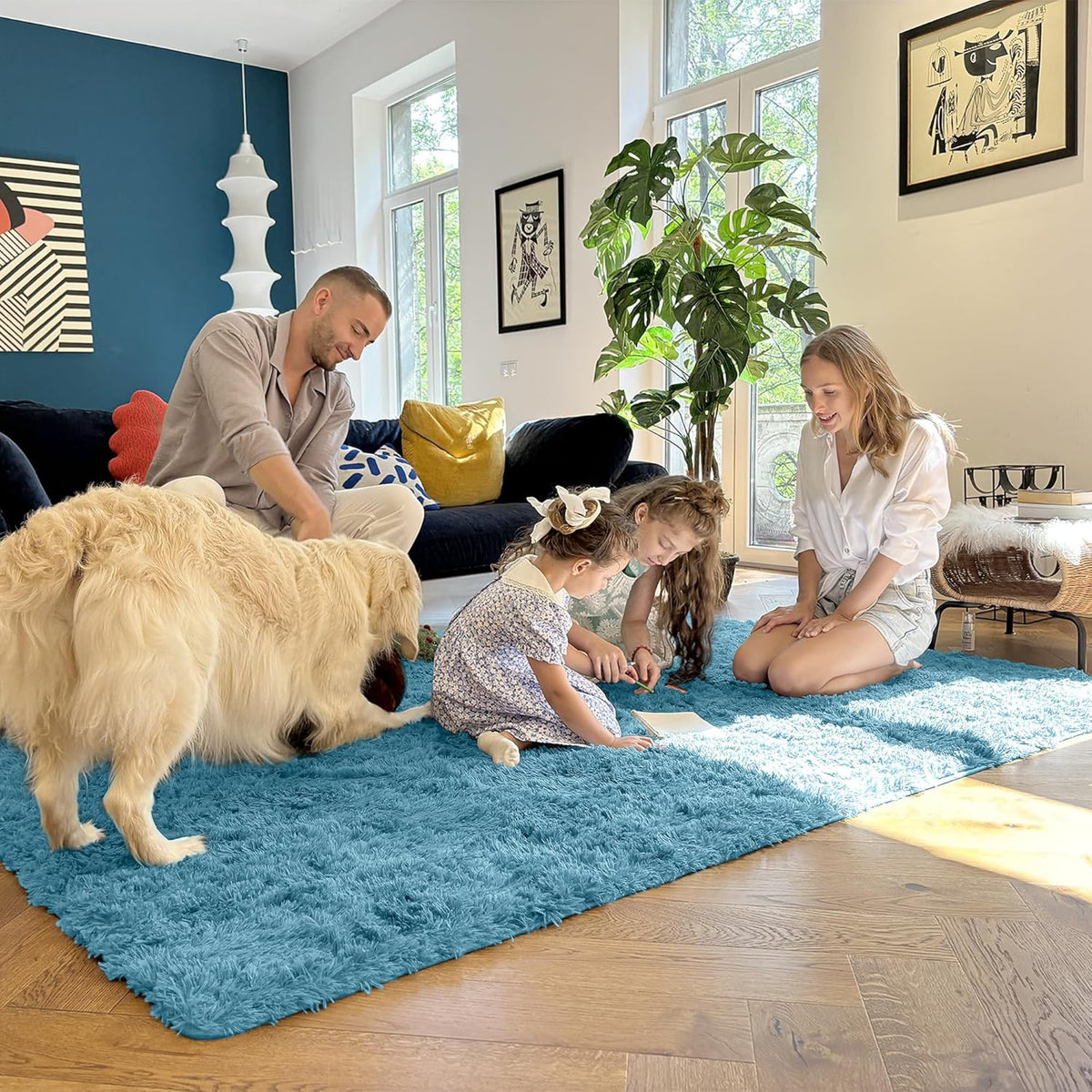 OLANLY Large Area Rug - Soft Fluffy Shaggy Carpet for Living Room & Bedroom | 6x9 Slate Blue