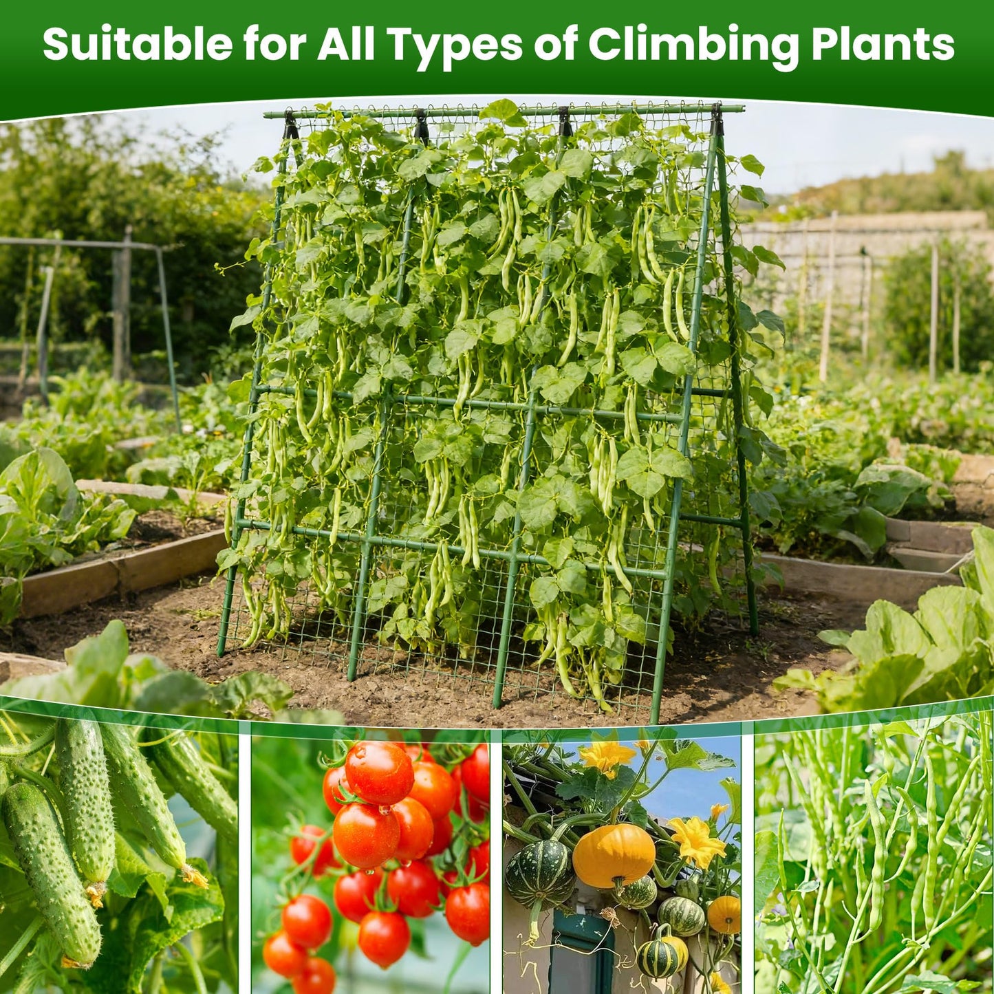 Cucumber Trellis for Raised Bed 48" L x 64" H, 16mm Adjustable A-Frame Garden Trellis with Net for Climbing Plants, Vertical Garden Vegetable Trellis for Zucchini Pea Bean Squash Grape Tomato Flowers