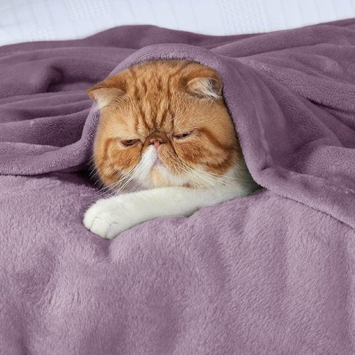 Bedsure GentleSoft Fleece Blanket - King Size Fog Purple Plush Microfiber, 108x90 Inches for Cozy Comfort