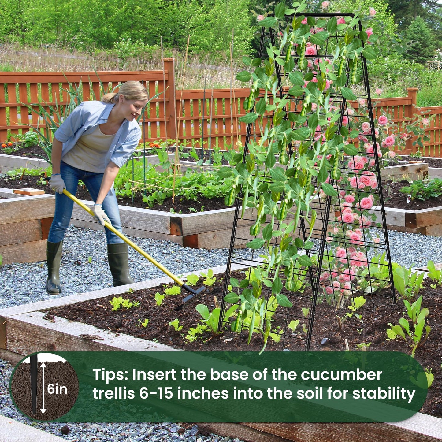 A-Frame Cucumber Trellis for Raised Bed, 50"x 16" Adjustable Heavy Duty Metal Garden Trellis for Climbing Plants Outdoor, Plant Support for Tomatoes Pea Bean Grape Vining Vegetables (1 Pack)