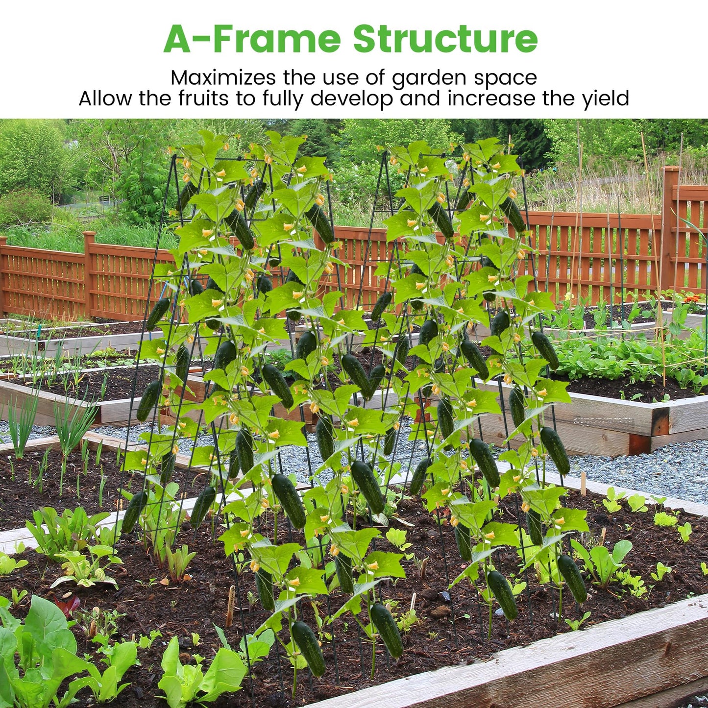 Toriexon Foldable Cucumber Trellis 64" H x 20" W - 2 Pack, A-Frame Garden Trellis for Raised Bed, with Twist Ties & Plant Bags for Climbing Plants Outdoor