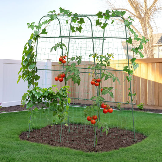 HIRALIY Cucumber Trellis for Climbing Plants Outdoor, 5.6ft Tall Heavy Duty Metal Garden Arch Trellis, Rustproof Plant Support Tunnel for Tomato, Grape, Bean, Raised Bed and Vegetable Gardens, Green