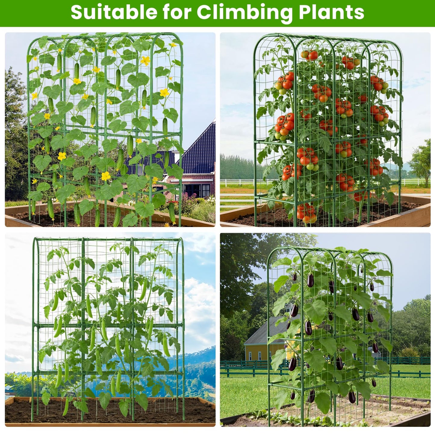 62in Tall Cucumber Trellis for Raised Bed, 51" L x 62" H Metal Garden Trellis for Climbing Plants Outdoor, U-Shape Vegetables Trellis Support for Squash Zucchini Peas Grape