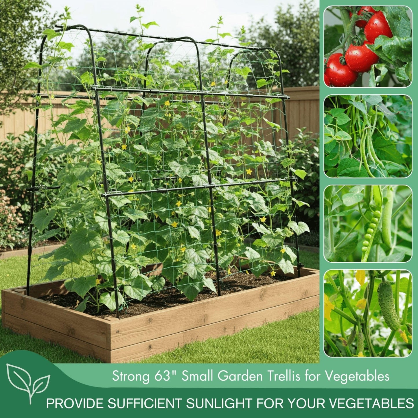 BAXAM ﻿Cucumber Trellis Arch 5.3FT Black PP Coated Stainless Steel Garden Arch Trellis for Climbing Plants Outdoor, Garden Vegetable Trellis for Climbing Plants with Netting