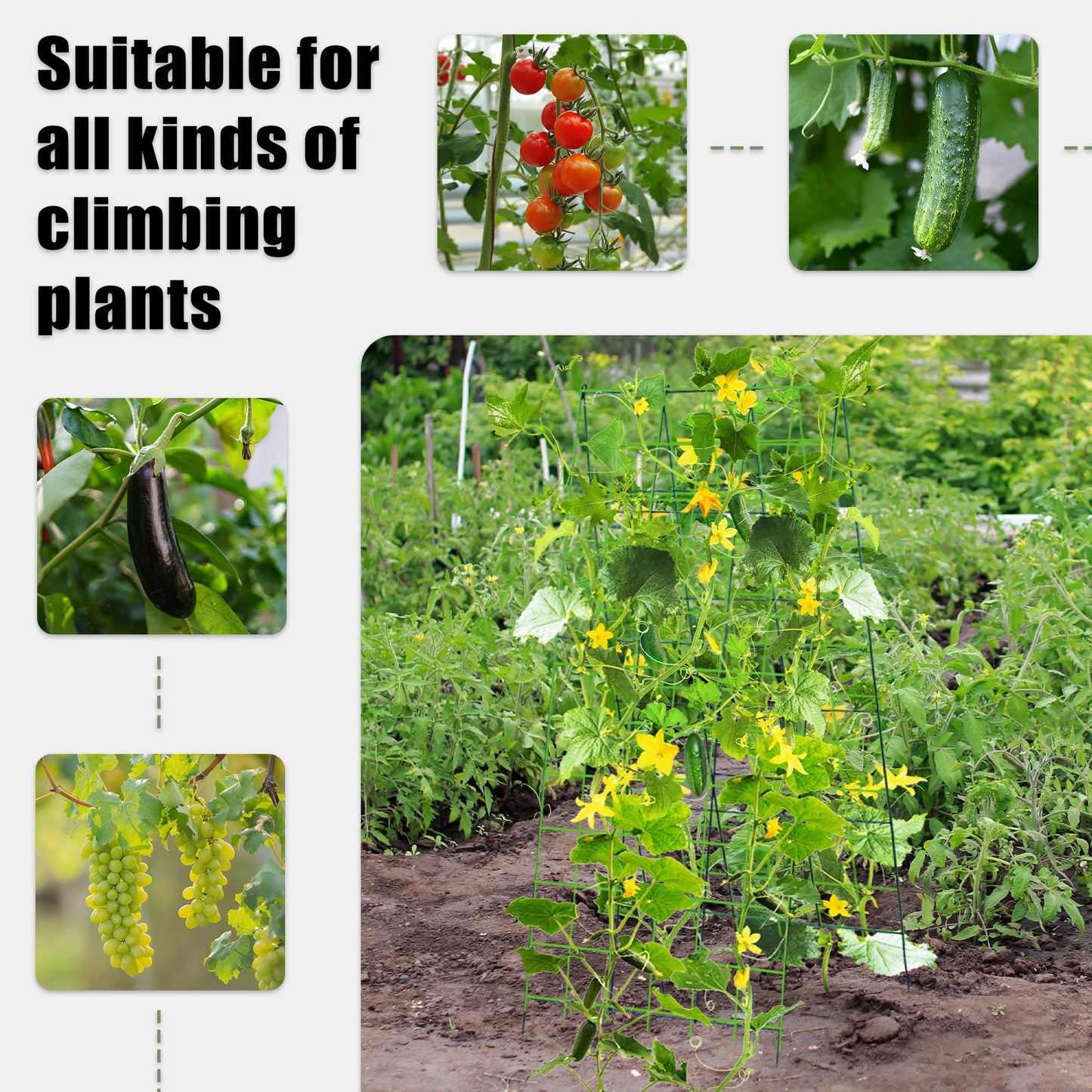 warmfarm Pack 2 Heavy Metal Garden Trellis for Climbing Plants with Trellis Netting & Garden Clips, A-Frame Cucumber Trellis for Raised Bed
