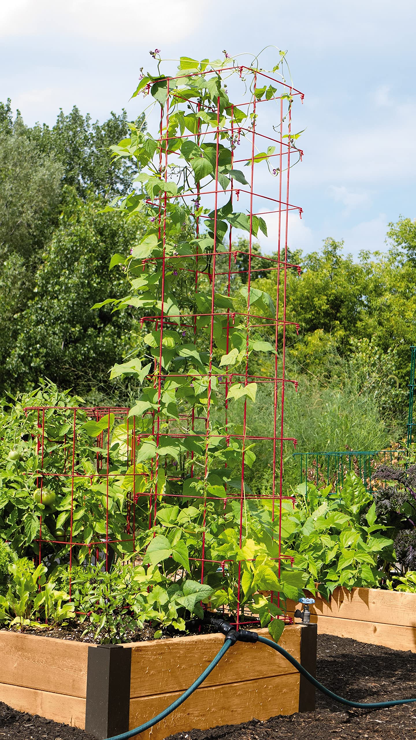 Gardeners Supply Company Large Bean Tower Plant Support | Sturdy Weatherproof Outdoor Beans, Peas & Other Climbing Vegetable Garden Plants Stake | Best for Small Space Garden - 75" H - Red