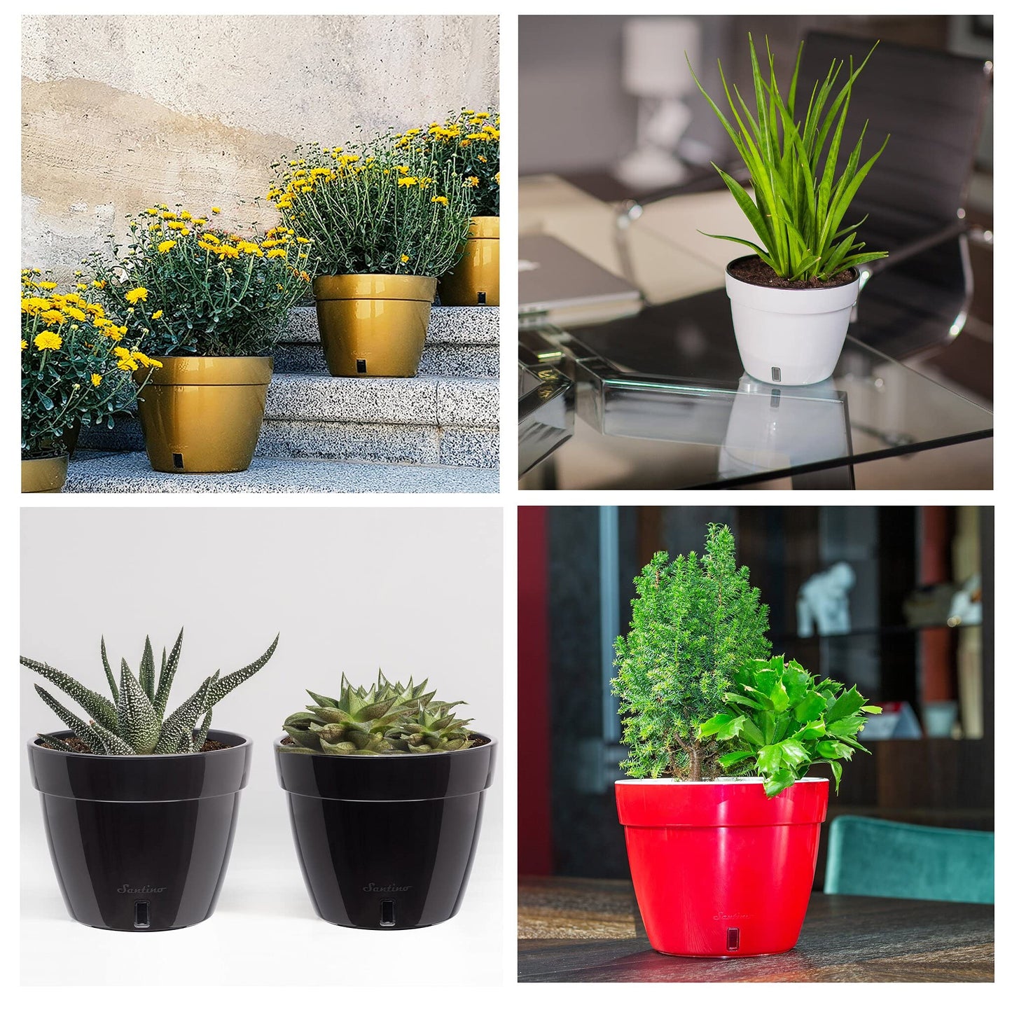 Santino AST 7.9 Inch Self Watering Planter Black-Gold/Black - Set of 3 for Indoor Plants - Premium Quality Plastic Pot with Water Level Indicator for All House Herbs, African Violets and Dahlias