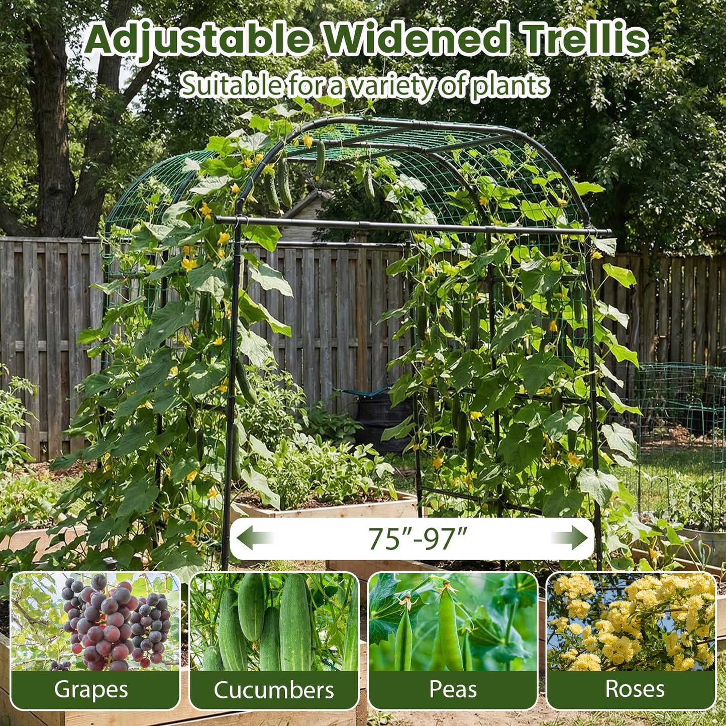Happygrill Metal Garden Arch Trellis for Climbing Plants, 8 FT Extra Wide U-Shape Cucumber Trellis for Raised Bed, Heavy-Duty Metal Plant Support for Vegetables Flowers Grape Vines