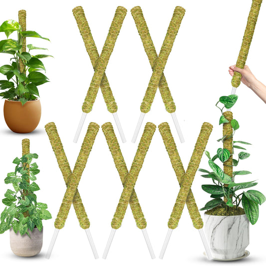 DUSPRO Natural Stackable Moss Pole for Plants Monstera Potted Plant Stakes for Indoor Plants Extendable Plant Pole Moss Sticks for Plants Climbing Vine Supporting Monstera Trellis 10Pcs 22''