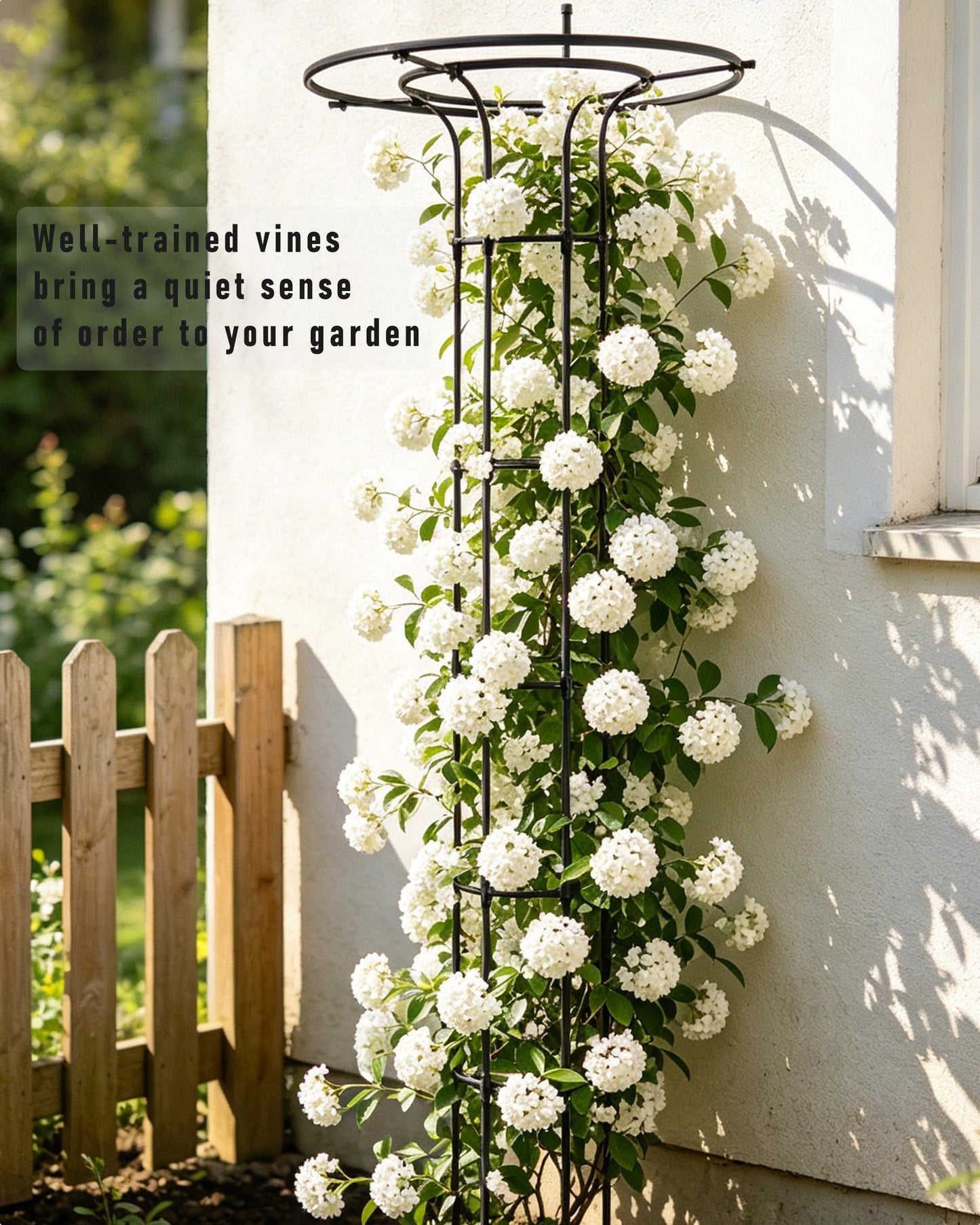 Garden Trellis for Climbing Plants - 71-Inch Adjustable Metal Plant Trellis for Indoor & Outdoor Potted Plants, Heavy Duty Trellis for Hoya, Roses, Vines