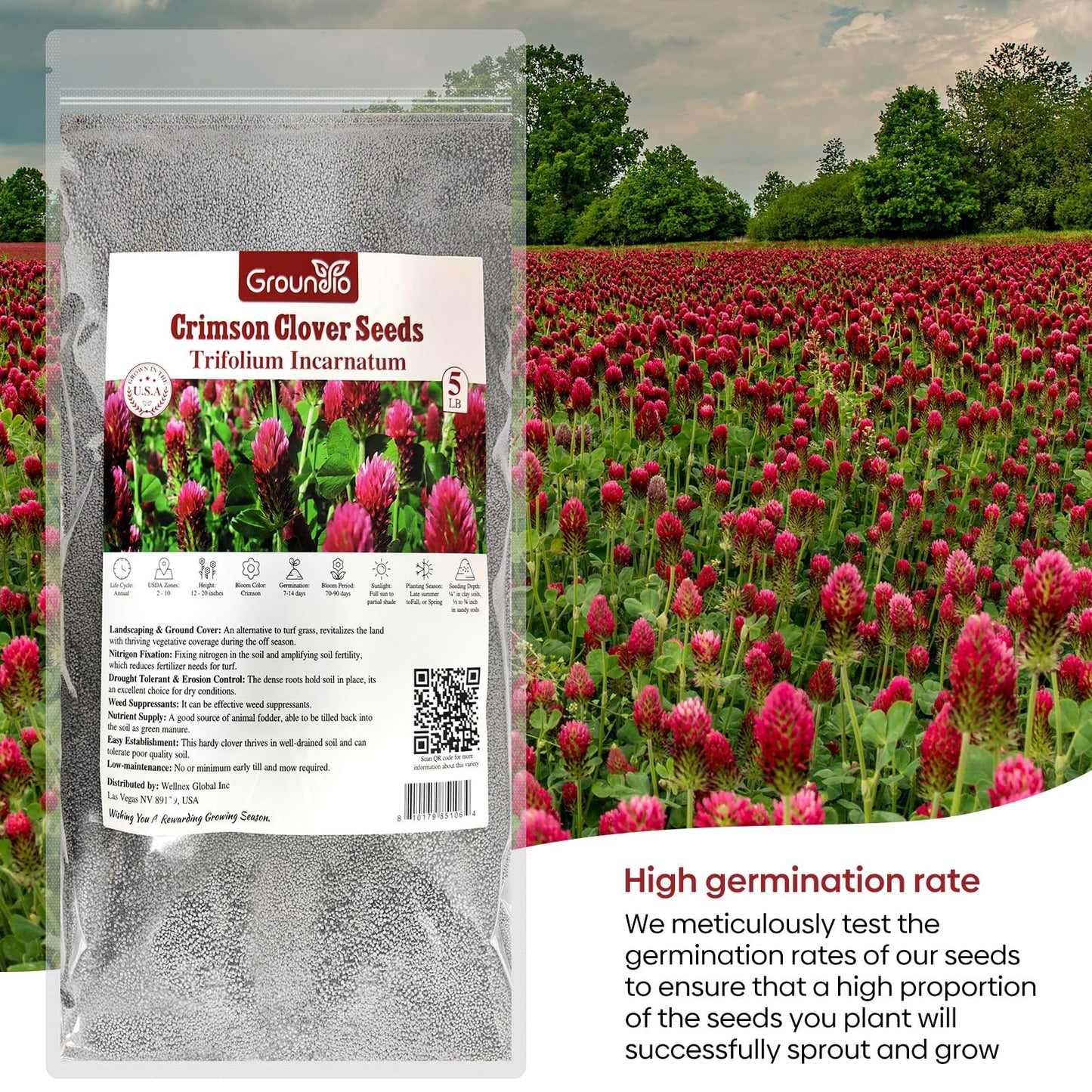Groundio Crimson Clover Seeds, 5 lbs, Annual Red Clover Seeds for Lawn Alternative, Attracts Pollinators, Nitrocoated and Inoculated(Trifolium incarn)