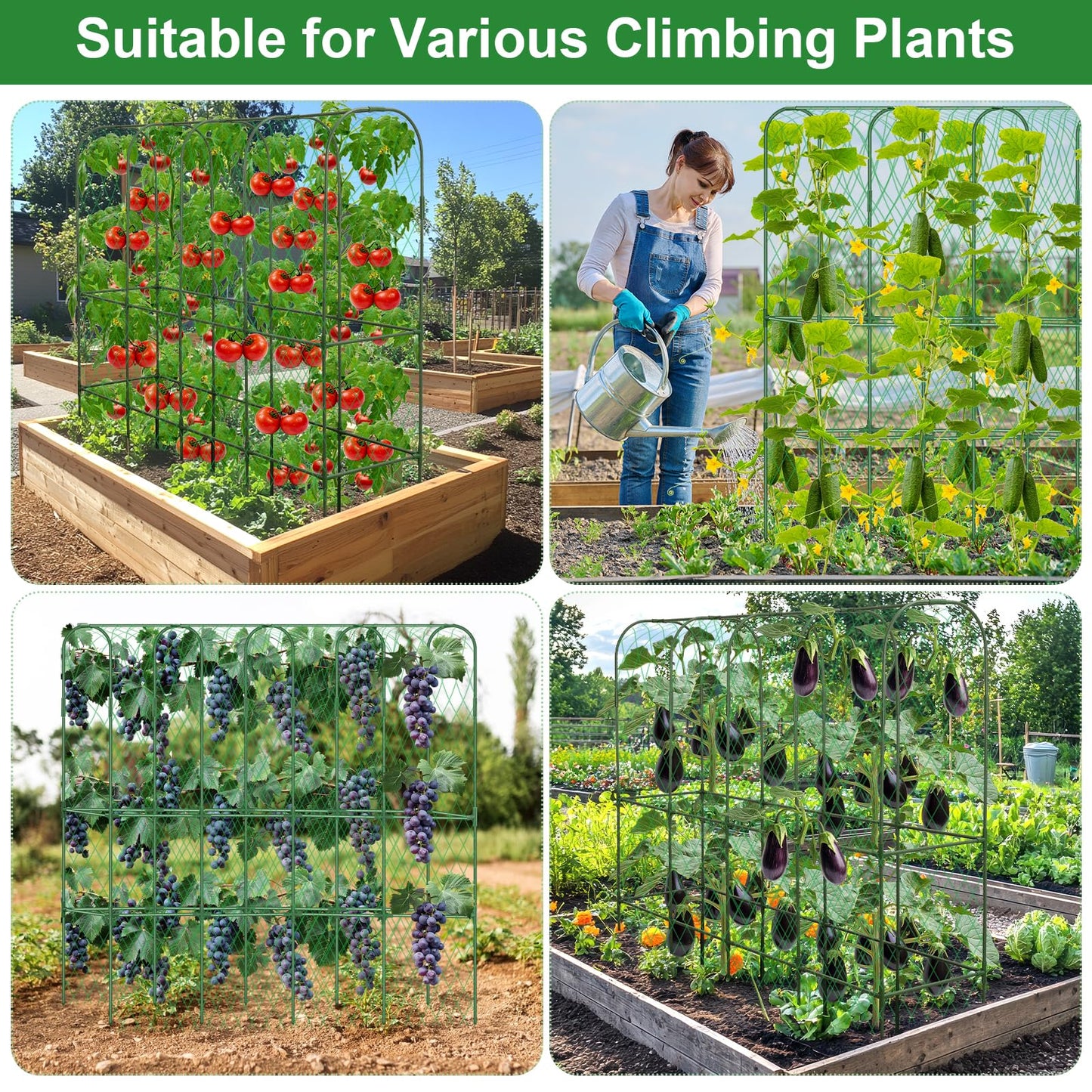 Cucumber Trellis for Raised Bed 5.4x5.5ft U-Shape Adjust Metal Garden Trellis for Climbing Plants Outdoor with Climbing Net Vegetable Arch Trellises Support Plant for Tomato Pea Fruit Squash Trellises