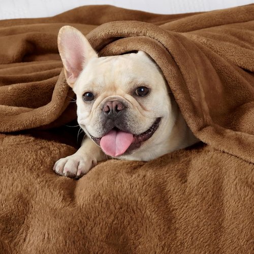 Bedsure GentleSoft Fleece Blanket - Lightweight Plush Cozy Twin Size Orange 60x80 Inches for Bed & Travel