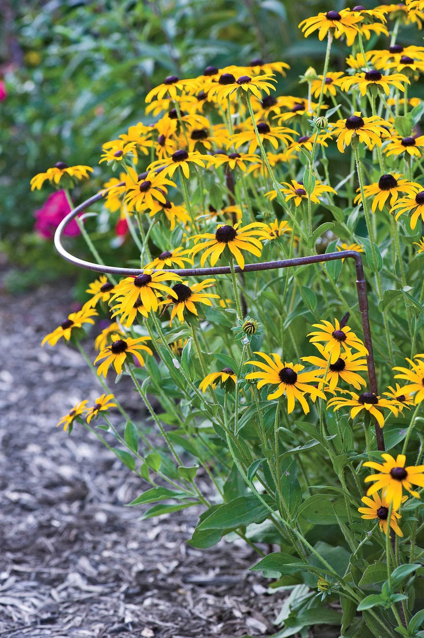 Gardener's Supply Company | 18" x 29" Jardin Half-Round Supports (Set of 2) | Half-Round Plant Supports Prevent Flopping Flowers | Weatherproof Powder-Coated Steel