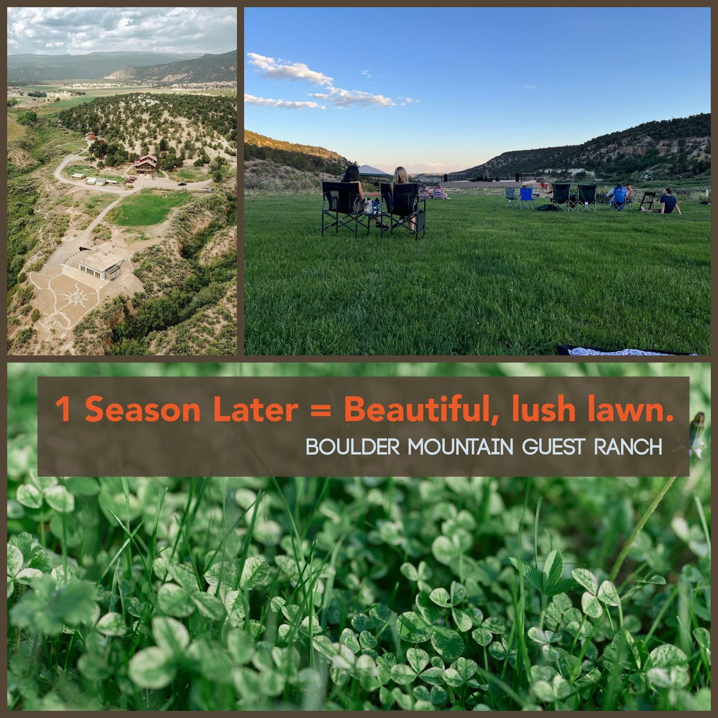 Micro Clover Seed for Lawn - 1 Lb - ~400,000 Microclover Seeds for Planting - Drought-Tolerant Mini Grass Alternative by Mountain Valley Seed Company
