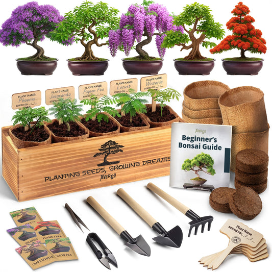 AVERGO Bonsai Tree Kit Deluxe - 5X Unique Japanese Bonzai Trees | Complete Indoor Bonsai Starter Kits from Seeds to Trees – DIY Gardening Gifts for Mother's Day, Women & Men