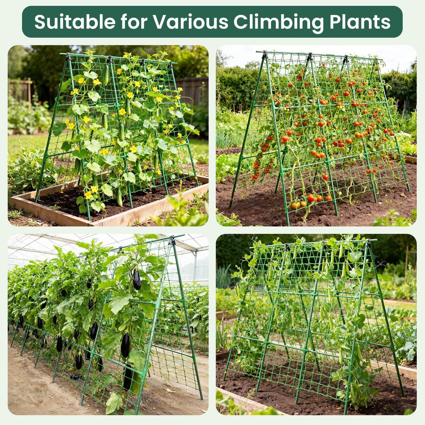 OTOSUNNY Cucumber Trellis for Raised Bed Garden, Garden Trellis for Climbing Plants Outdoor, A Frame Climbing Vine Plants Support for Vegetable Tomatoes Peas Pole Beans Trellis, 50x48 inch, Green
